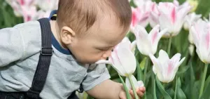 Zaburzenia przetwarzania sensorycznego – wczesna interwencja